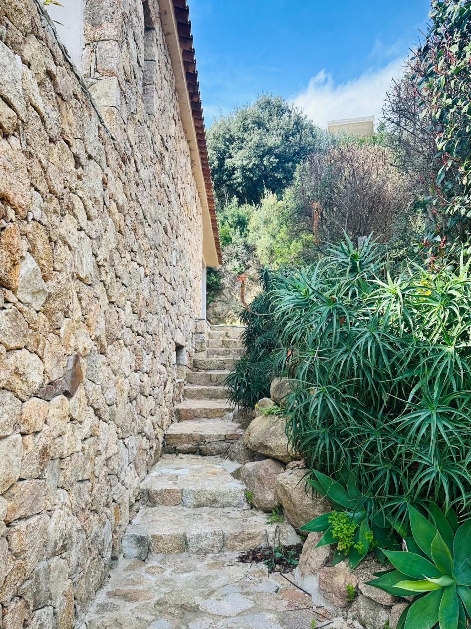 Vue Panoramique Proche Porto-Vecchio Vista Corsica Acomodação com café da manhã Sotta Exterior foto